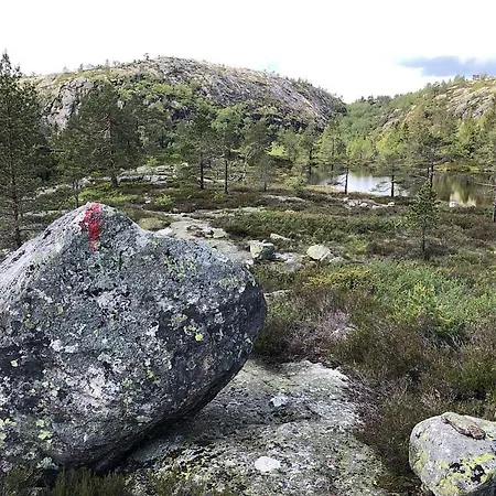 Secluded - Stunning Views - Hiking & Nature * Mjåvatn